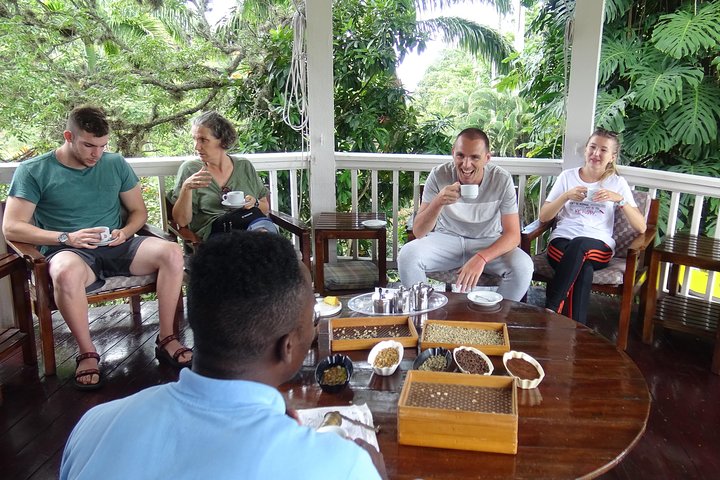 Jamaica Blue Mountain Coffee Tour